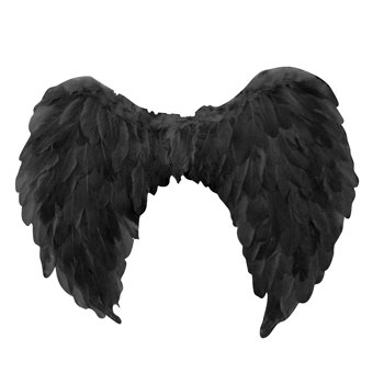Adult Black Angel Wings