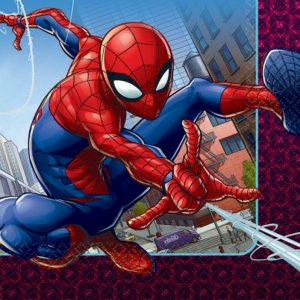Spiderman Napkin