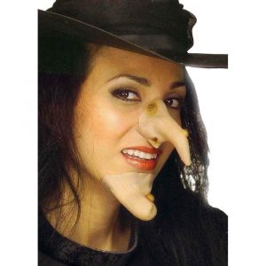 Wicked Witch Nose