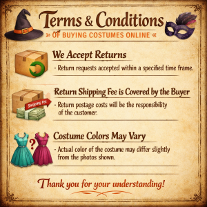 AA-COSTUME TERMS AND CONDITIONS-AA